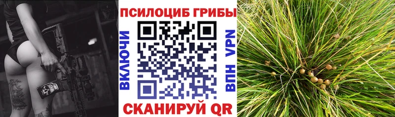 где купить наркоту  Улан-Удэ  Псилоцибиновые грибы MAGIC MUSHROOMS 