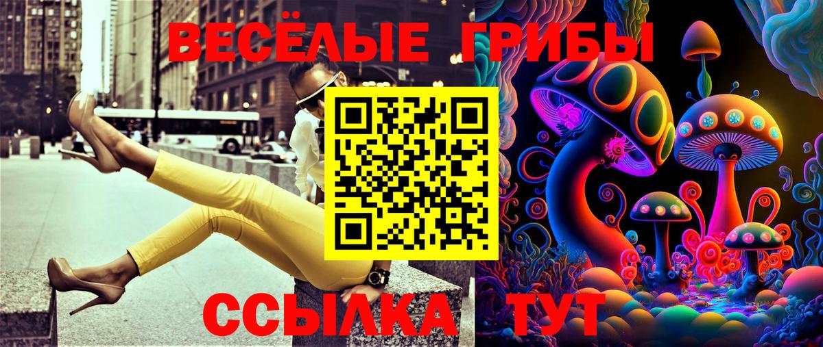 Галлюциногенные грибы мухоморы Улан-Удэ