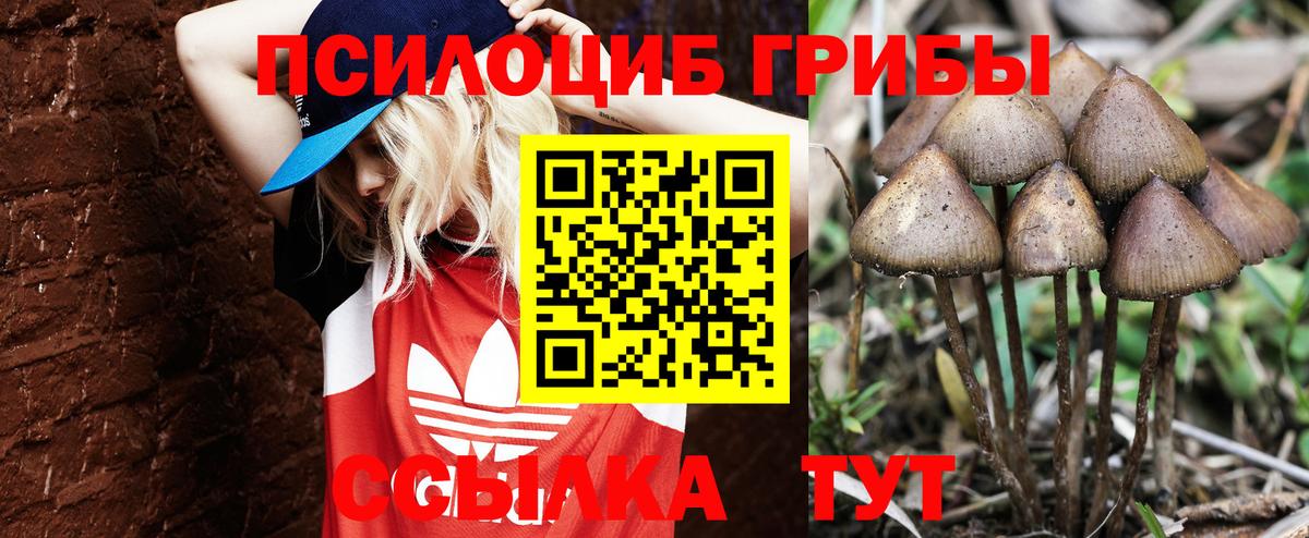 Псилоцибиновые грибы Magic Shrooms  где найти   Улан-Удэ  Вход с VPN 