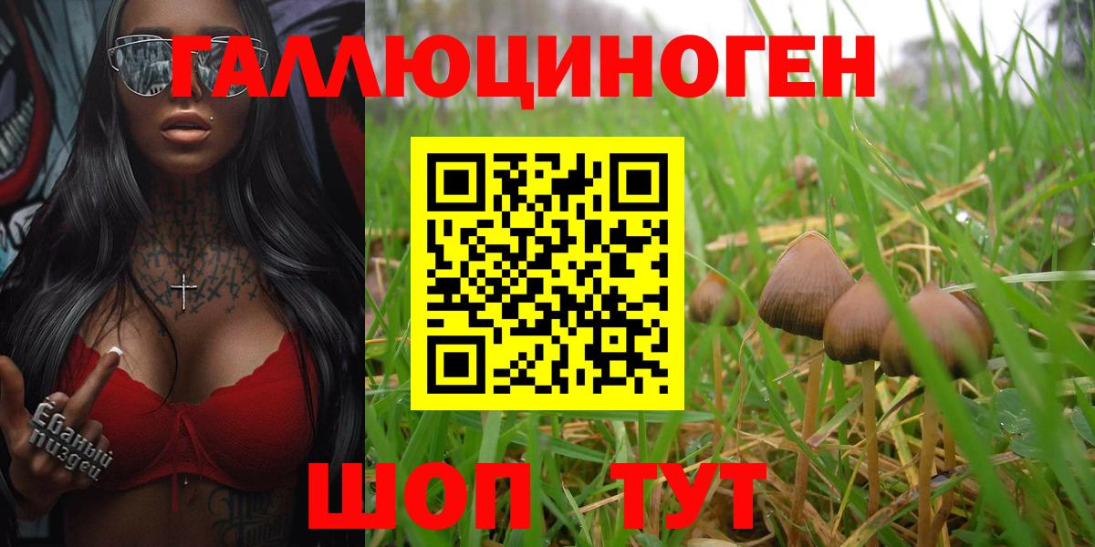 Галлюциногенные грибы прущие грибы Улан-Удэ