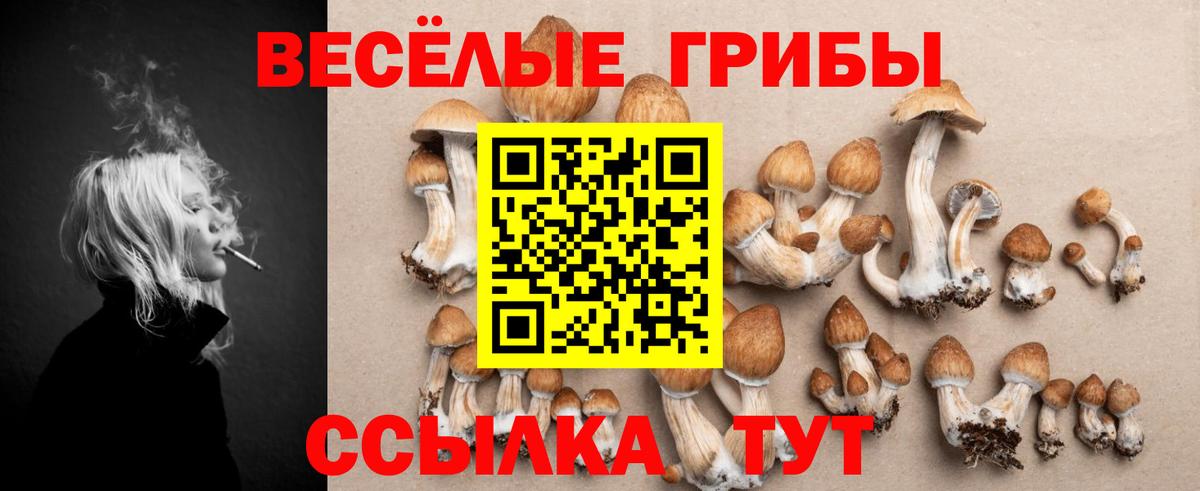 Псилоцибиновые грибы GOLDEN TEACHER  Вход с VPN  наркошоп  Псилоцибиновые грибы ЛСД  Улан-Удэ 